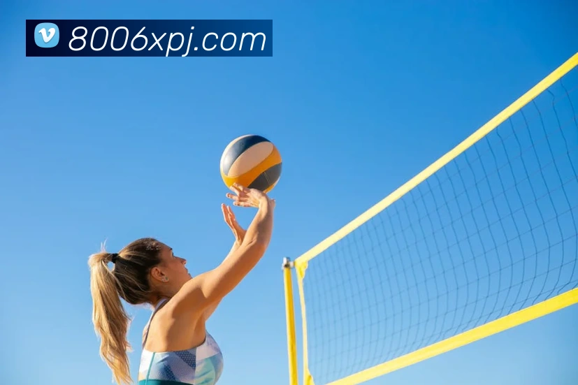 App Interface Preview